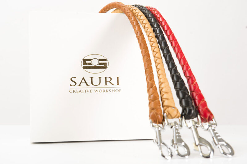 Modern leather leashes colors