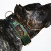 Workshop Sauri Emerald dog collar