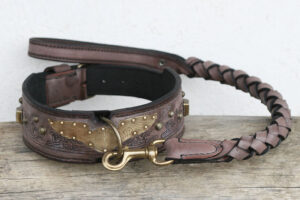 Workshop Sauri personalized dog collar and leash