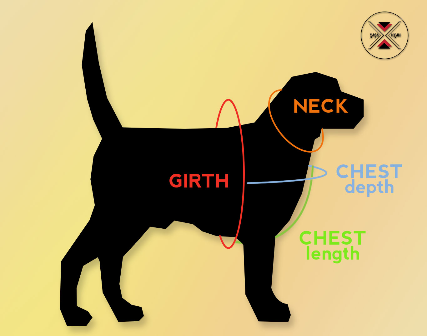 Measuring your dog