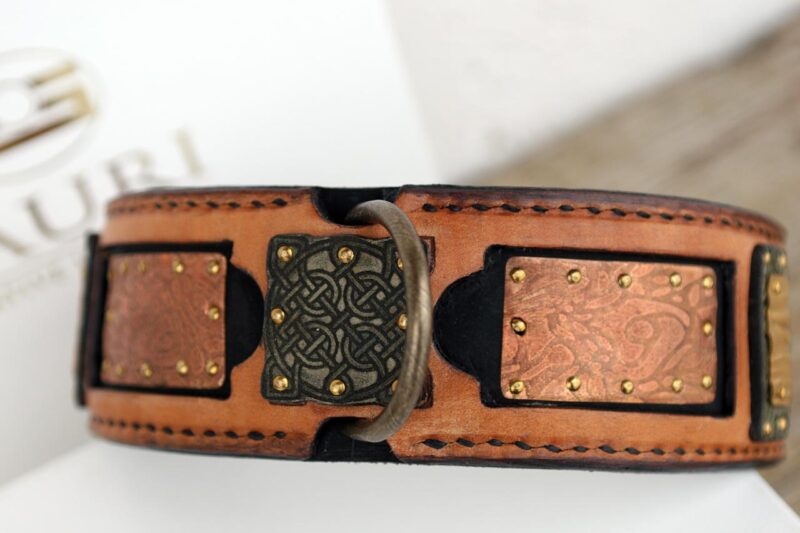 Shiraz exquisite leather dog collar hand crafted by Workshop Sauri