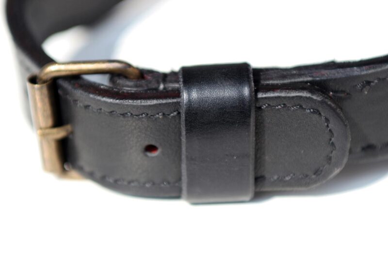 Luxor - leather dog collar closed buckle
