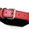 Canis Ludus - red leather dog collar buckle