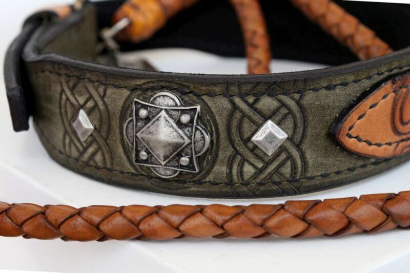 Unique leather dog collar with embellishments handmade by Workshop Sauri