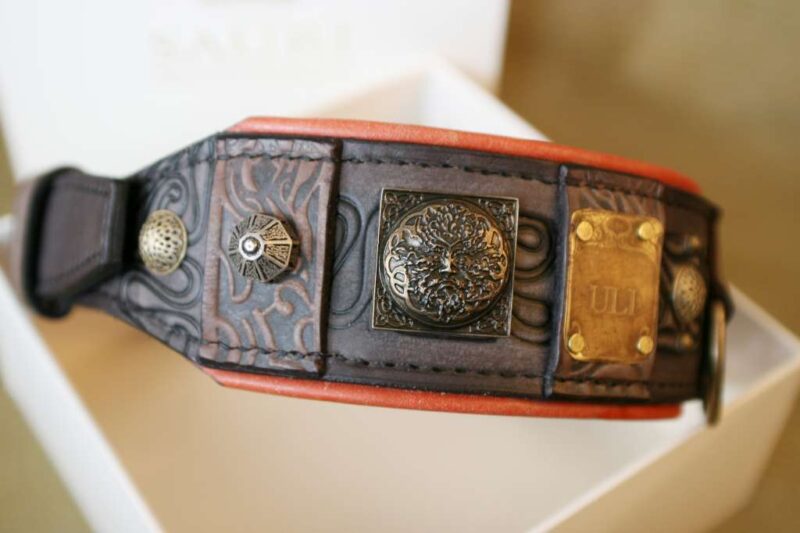 Unique leather dog collar with name plate by Workshop Sauri