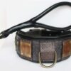 Padded leather dog collar handmade by Workshop Sauri