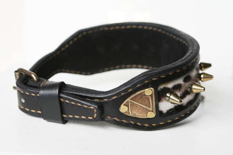 French Bulldog leather collar handmade by Workshop Sauri