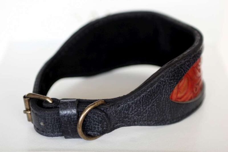 Azawakh leather dog collar by Workshop Sauri