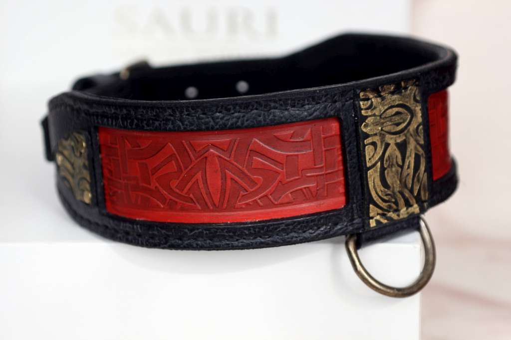 red and black dog collar