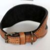 Tan leather dog collar handmade by Workshop Sauri
