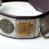 Leather dog collar with nameplate hand crafted by Workshop Sauri