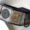 Leather dog collar with nameplate embellishments handmade by Workshop Sauri