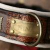 Custom made dog show collar with nameplate by Workshop Sauri