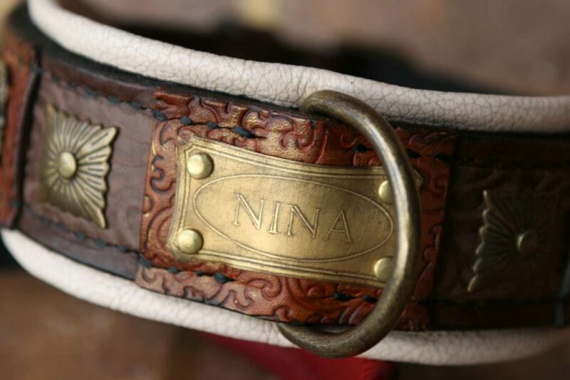 Custom made dog show collar with nameplate by Workshop Sauri