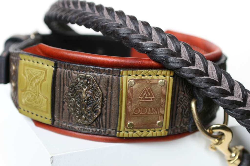 custom dog collars