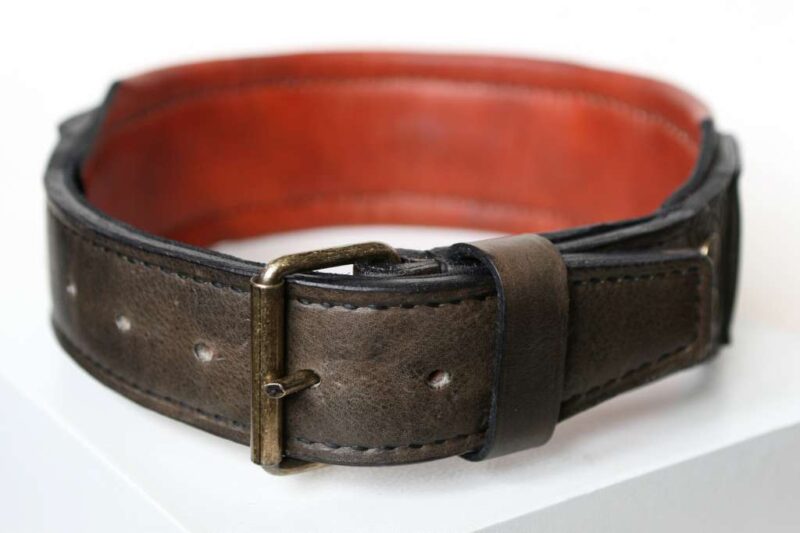 Custom engraved big dog collar by Workshop Sauri