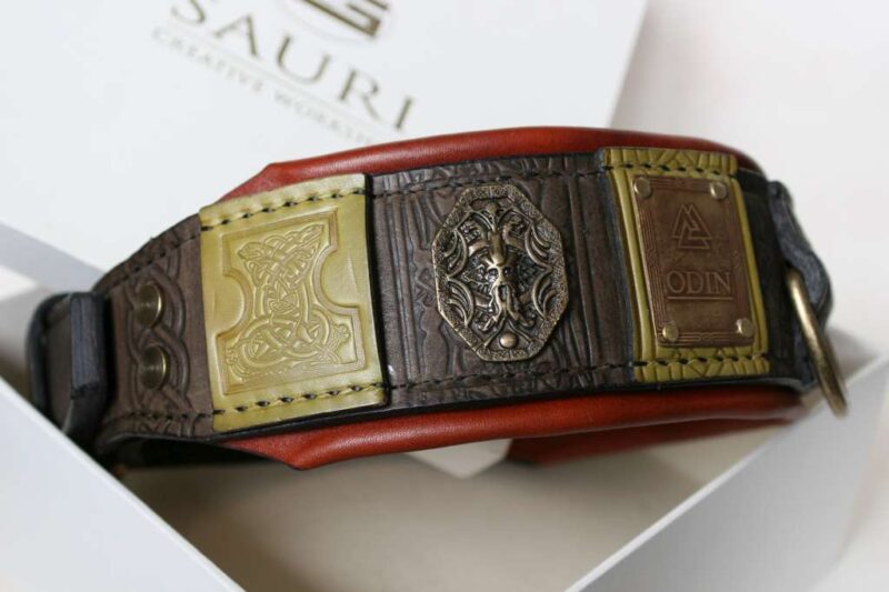 Custom engraved big dog collar handmade by Workshop Sauri