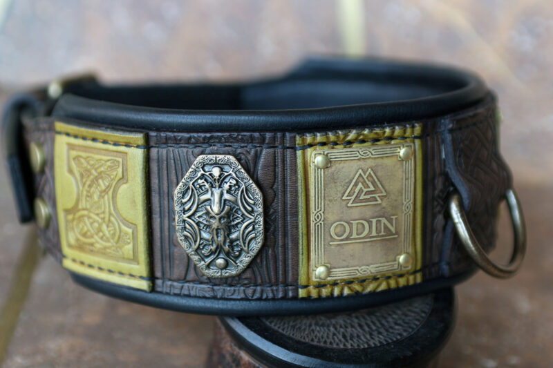 Odin custom engraved big dog collar with black leather padding by Workshop Sauri