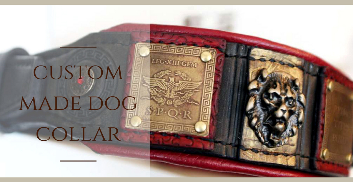 Roman inspired dog collar for American bulldog by Workshop Sauri
