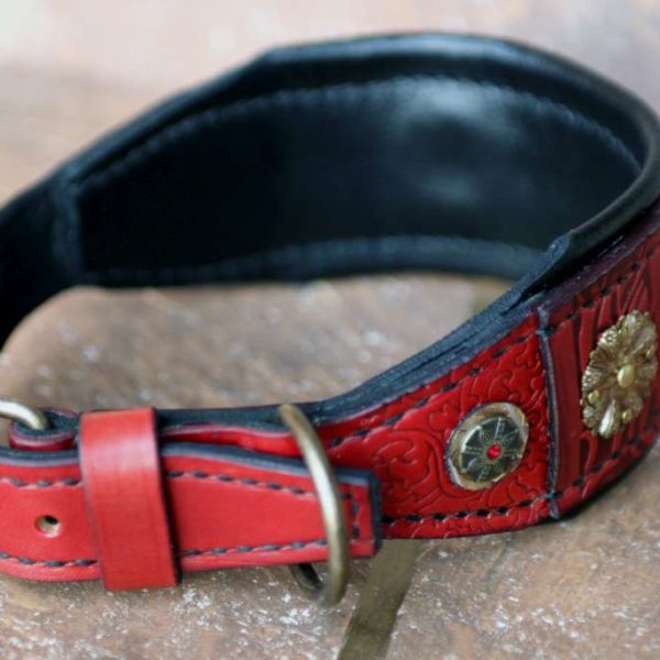BYZANTINE Afghan hound leather collar Harakhan Kennel