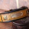 Padded leather dog collar Terra by Workshop Sauri
