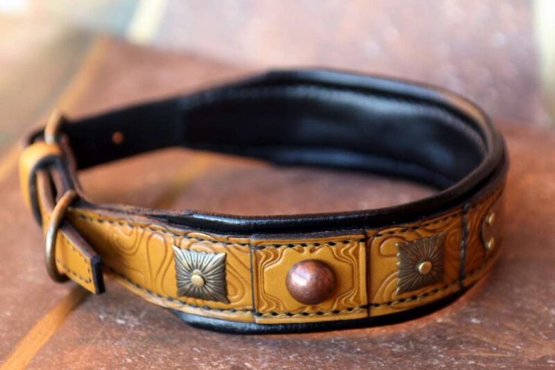 Padded leather dog collar Terra by Workshop Sauri