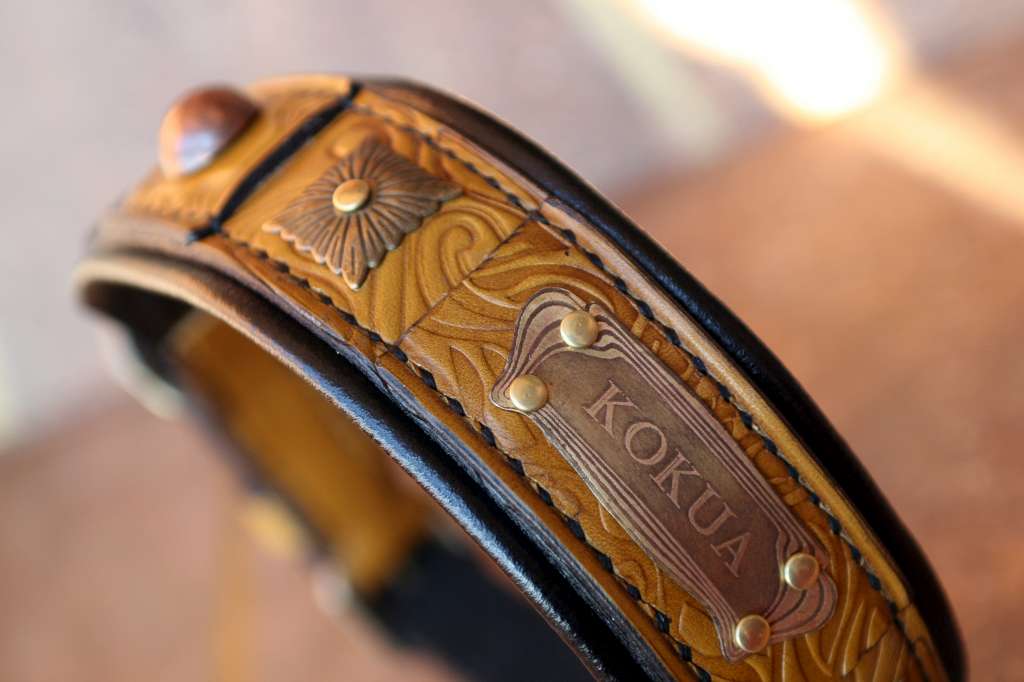 leather dog collars with name plate
