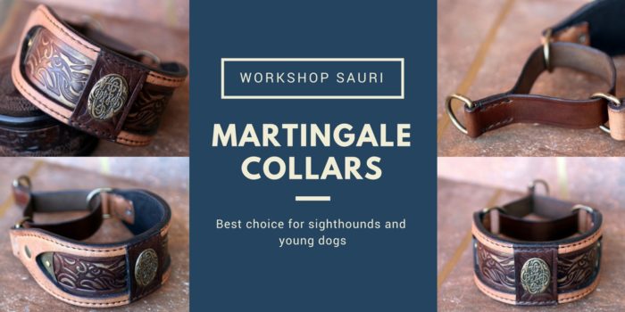 Martingale collar by Workshop Sauri