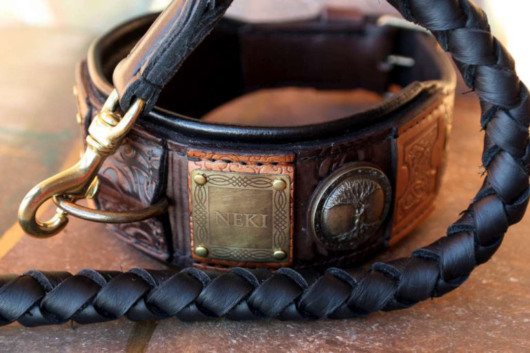 IMPERIAL II Personalized dog collar with black leather cushion