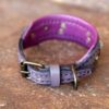Personalized extra small dog collar by Workshop Sauri