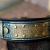 Green dog collar with art deco nameplate by Workshop Sauri