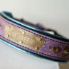 XL personalized bling dog collar by Workshop Sauri