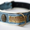 Blue dog collar with rhinestones and beige leather padding