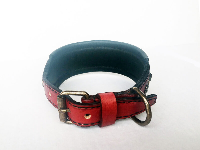 Buckle medium dog collar by Workshop Sauri